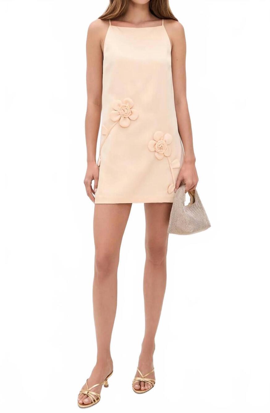 NEW ASTR marigold mini dress in beige